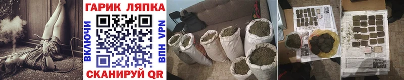 дарнет шоп  Жиздра  ГАШИШ индика сатива 