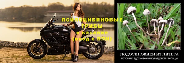 ешки Гусев
