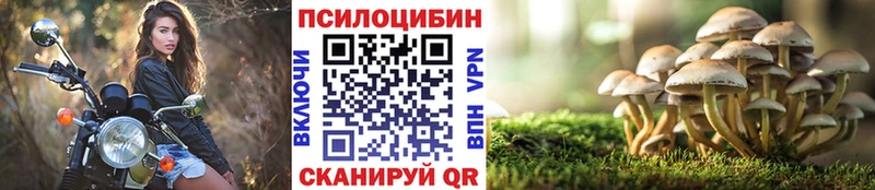 MEGA как войти Жиздра Галлюциногенные грибы мухоморы купить
